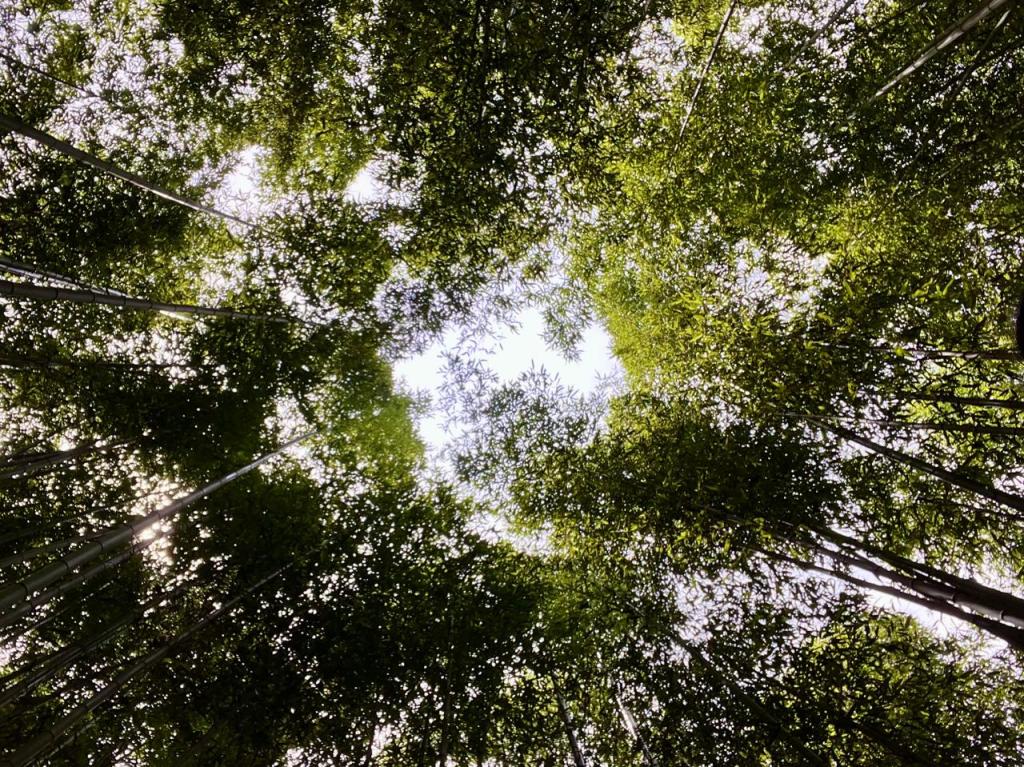 c a r t a⠀                                   m o t i v a c i o n a l⠀            p e s s o a&nbsp;l